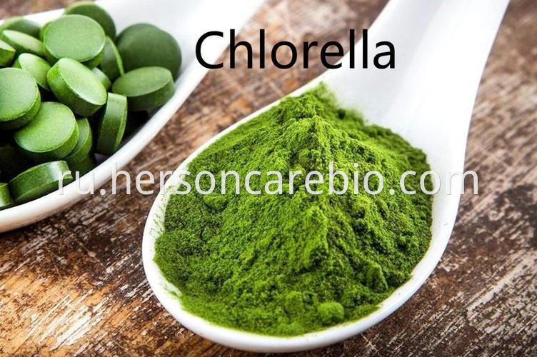 Chlorella Powder